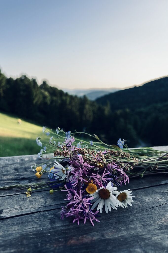 Latajacym pociagiem do czech sudecka petla i skalne miasto adrspach7